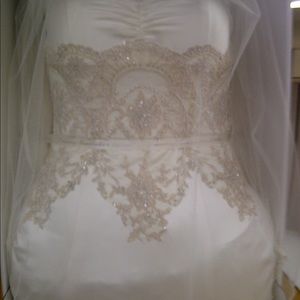 Meet your Posher, Dolores